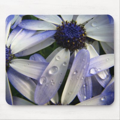Rainy Day Blues Mouse Mats by CeePhotoArt