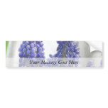 Rainy Day Grape Hyacinths bumper stickers