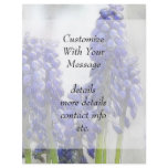 Rainy Day Grape Hyacinths flyers