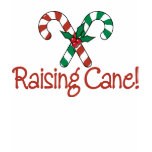 RAISING CANE t-shirts