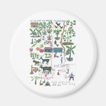 Raising Crops & Animals to increase our Income Refrigerator Magnets