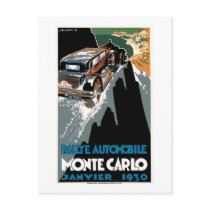 Rallye Automobile