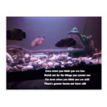 ralph W Staples Quotations Post Card