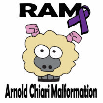 RAM Arnold Chiari Malformation Cut Outs