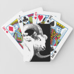 RAM BICYCLE POKER CARDS
