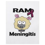 RAM Meningitis flyers
