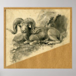 Ram posters