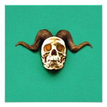 Ram Skull Photographic Print