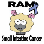 RAM Small Intestine Cancer photo sculptures