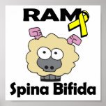 RAM Spina Bifida posters