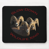 rams mousepads