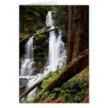 Ranger Falls Cards