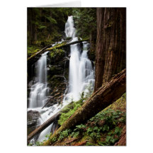 Ranger Falls Cards