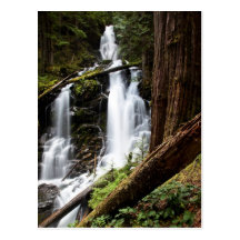Ranger Falls Post Cards