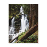 Ranger Falls Post Cards