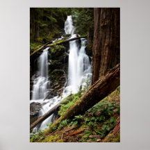 Ranger Falls Poster