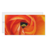 Ranunculus Macro Photocard