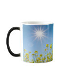 rape field mugs