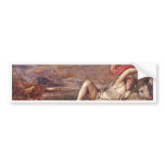 Rape Of Europa, Português: O Rapto De Europa bumper stickers