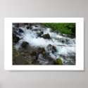 Rapids. posters