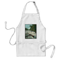 Raquette Falls, Adirondack Mountains rare Photochr Aprons