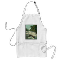 Raquette Falls on the Raquette River Aprons