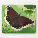 Rare Butterfly ~ mousepad