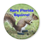Rare Florida Squirrel Fridge Magnet