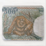 Rare Orangutan Money