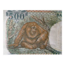 Rare Orangutan Money Post Cards
