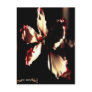 Rare-orchid postcard