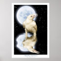Rare WHITE RAVEN Fantasy Art Poster posters