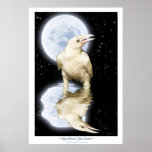Rare WHITE RAVEN Fantasy Art Poster posters