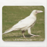Rare White Raven mousepads