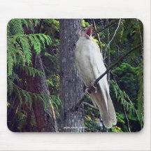 Rare White Raven Mousepad