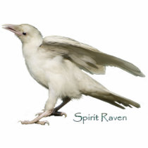 RARE WHITE RAVEN Standing Sculpted Magnet Photo Sculptures