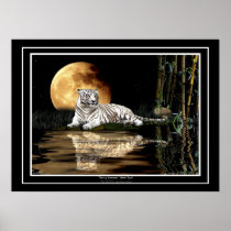 Rare White Tiger & Moon Big Cat Art Poster