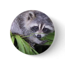 Rascal Racoon Button