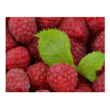 Raspberries Post Card