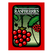Raspberries Post Cards