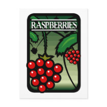 Raspberries