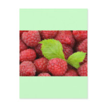 Raspberries Post Card