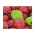 Raspberries postcards