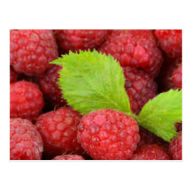 Raspberries Postcard