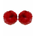 Raspberries t-shirts
