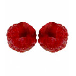 Raspberries t-shirts