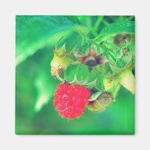 Raspberry Fridge Magnet