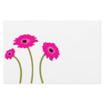 Raspberry Gerber Daisy stationery