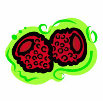 Raspberry
