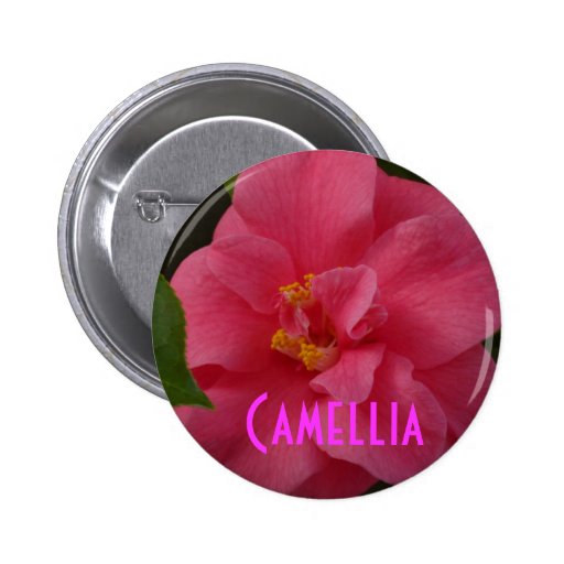 Raspberry Pink Camellia